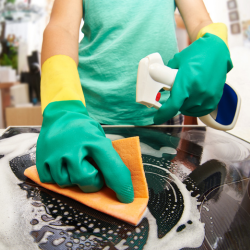 cleaning-portfolio (7) cleaning-portfolio (7)